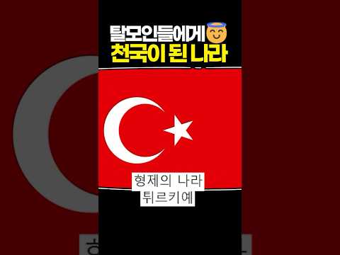 탈모인들에게 천국이 된 나라