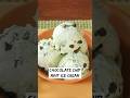 Chocolate Chip Mint Ice Cream is a must try summer indulgence #shorts #beattheheat #summerspecial