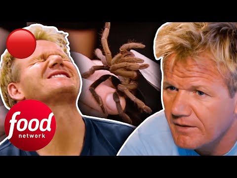 Gordon Ramsay’s Most EXTREME Food Tastings! 🍴| Gordon’s Great Escapes
