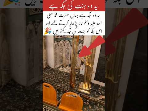 hazrat Muhammad salla vasllam of speech#trending #shortvideo #islamicvideo