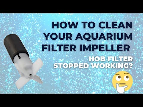 Cleaning Aquarium Filter Impeller - HOB stopped wo This video will show you how to clean out your aquarium filter impeller. Often, they get very dirty 