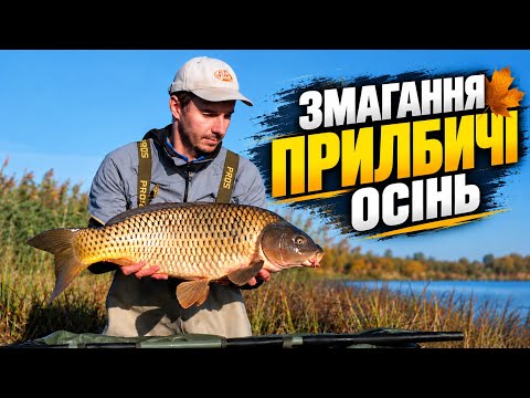 Ловля коропа восени: коли риба відходить все далі і далі…