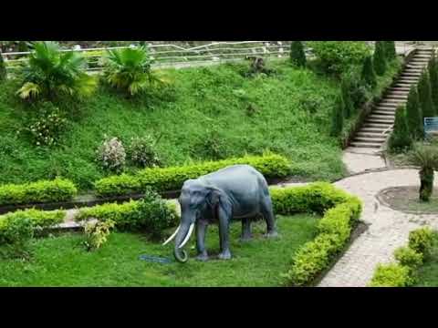 कृत्रिम हात्ती दोमुखामा