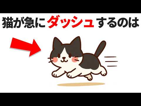 猫の動画サムネイル - 猫の狩猟本能に関する雑学20選【その遊び、本気の狩りでした！】 #猫 #雑学 #豆知識
