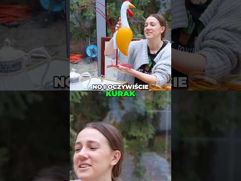 Co kupiliśmy w sklepie ze starociami 💪🏻‼️⭐️ #domnawsi #starocie #pchlitarg