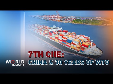 7th CIIE: How China's role has evolved after 30 years of WTO