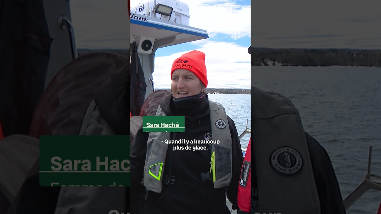 Chasser le phoque au Nouveau-Brunswick, pourquoi?