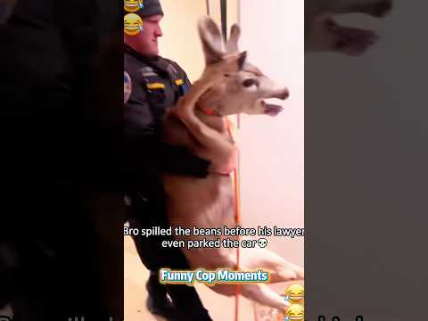 Funny cop moments🤣🤣 #foryou #funny #cops #police #funnyanimals #funnycops