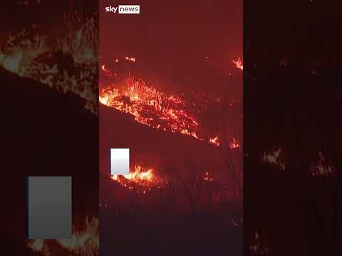 Deadly wildfires ravage South Korea