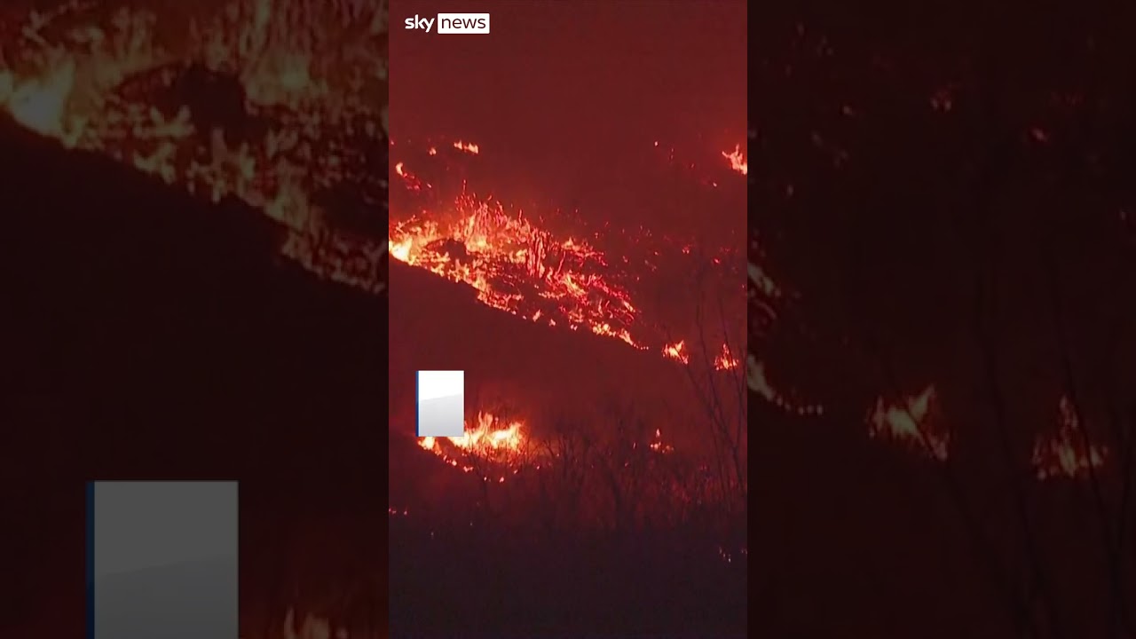 Deadly wildfires ravage South Korea