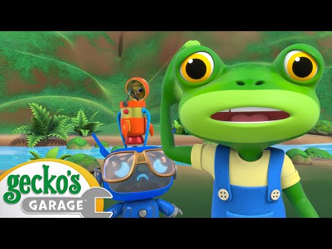 Gecko's Garage'