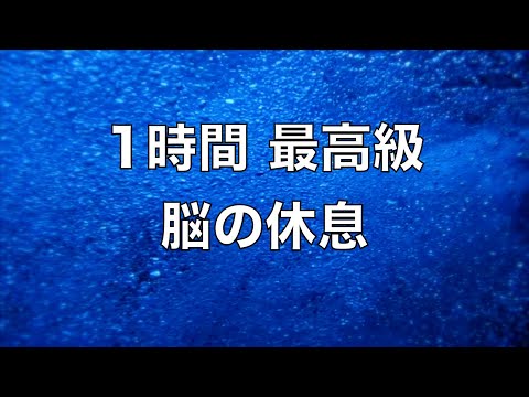 【1時間】 脳の疲れをとり最高級の休息へ 自律神経を整える音楽 α波リラックス効果抜群 【超特殊音源】ストレス軽減 ヒーリング 睡眠 集中力アップ アンチエイジング 瞑想 休息に