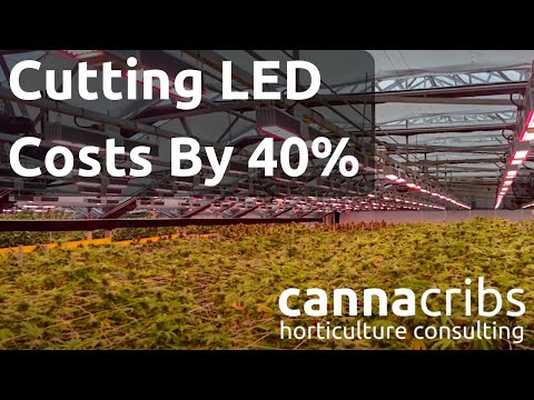 Cutting LED Costs By 40% In Commercial Indoor And Greenhouse Cultivation
