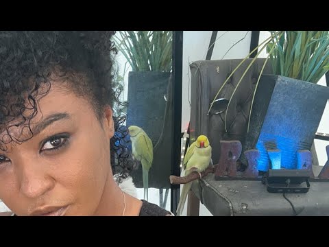 #TurnersSanctuary is live!