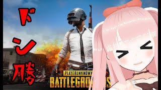 【#PUBG】朝活～これこそ原点～【#VTuber】