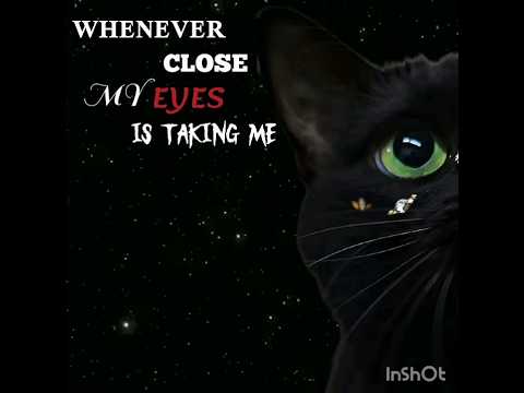 فكرة من التيك#قربنا لـ 10k #لايك_اشتراك #مهتم بي هذا المحتوى فولو مي🎀#بدون_موسيقى