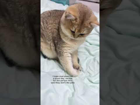 I hope everyone has a good day, except for the person...