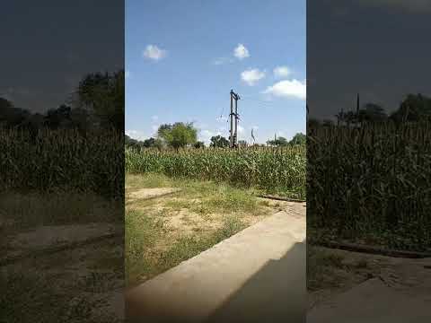 najara to dekho #shorts