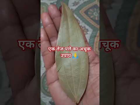 #एक तेज पत्ते का अचूक उपाय 🙏 #motivation #astrovichar #facts #upay #jyotishvidhya