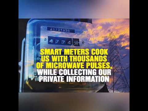 Smart meters cook us with thousands of microwave pulses every day, while collecting our private info