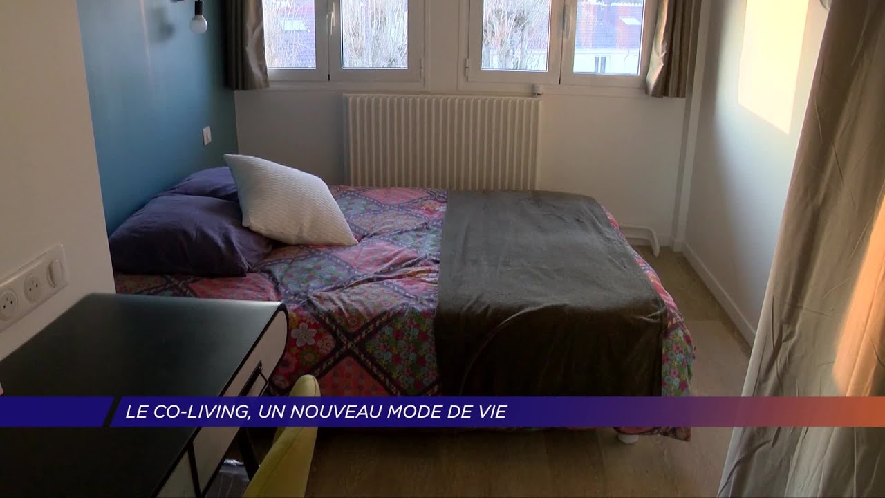 Yvelines | Le co-living, un nouveau mode de vie