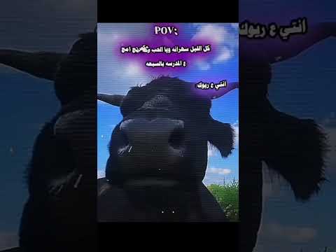 مو 😂😂 #اكسبلور #لايك #automobile #fed #حيدر