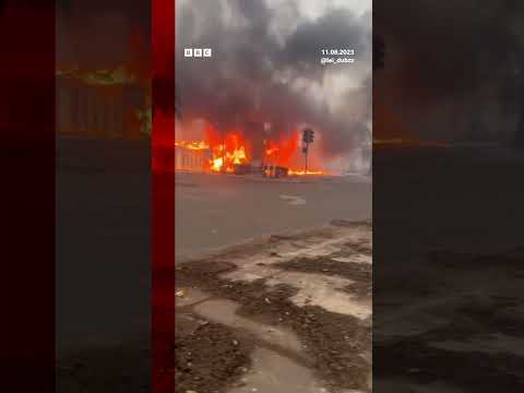 Firefighters are battling to control Maui's wildfires. #Hawaii #Maui #Wildfire #Shorts #BBCNews