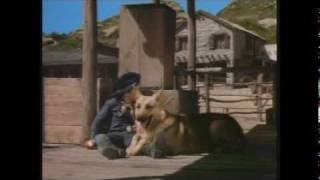Click to View : The Adventures of Rin Tin Tin (1954–1959)