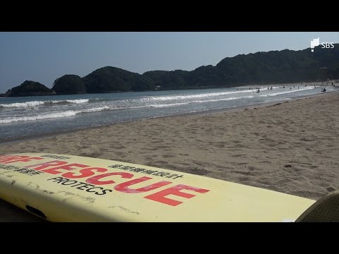 ボディボード中に高波にのまれたか…　海水浴の60代男性が溺れて意識不明の重体に＝静岡・南伊豆町