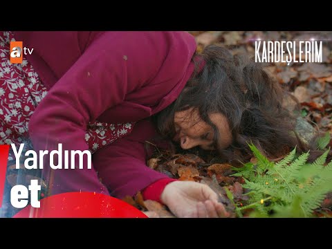 “Madem sen bizim aramızdan çekilmiyorsun, o zaman kal burada…'' - Kardeşlerim 71. Bölüm