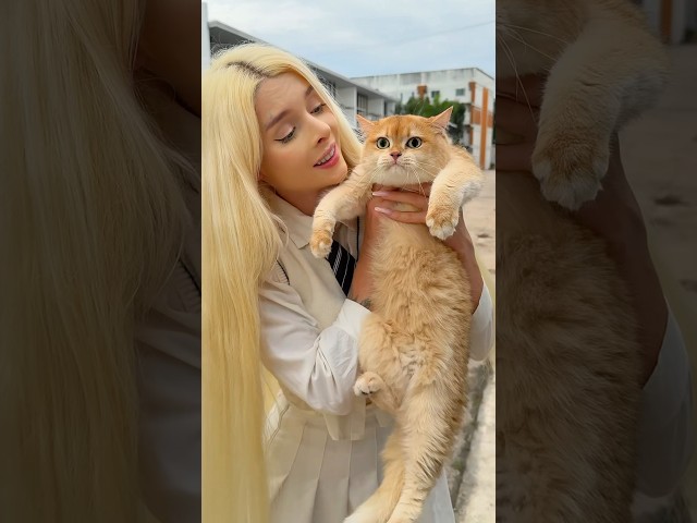 She took in a stray cat🥹 #cat #cats
