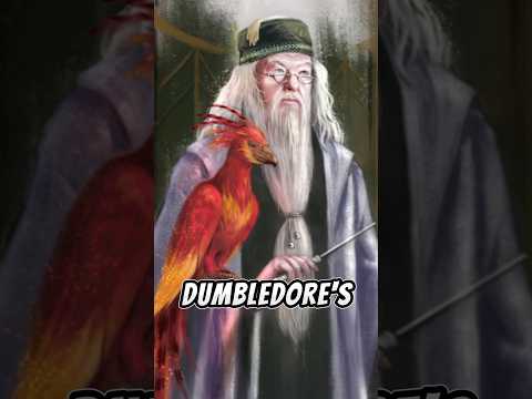 Shocking Harry Potter Fact That Movie Watchers Didn’t Know😱 #harrypotter #facts #subscribe #shorts