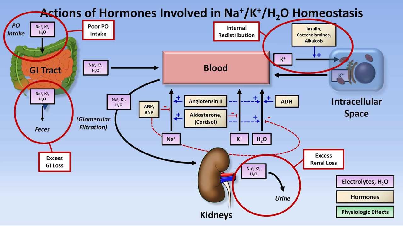 hypokalemia-youtube