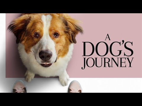 A Dog's Journey'