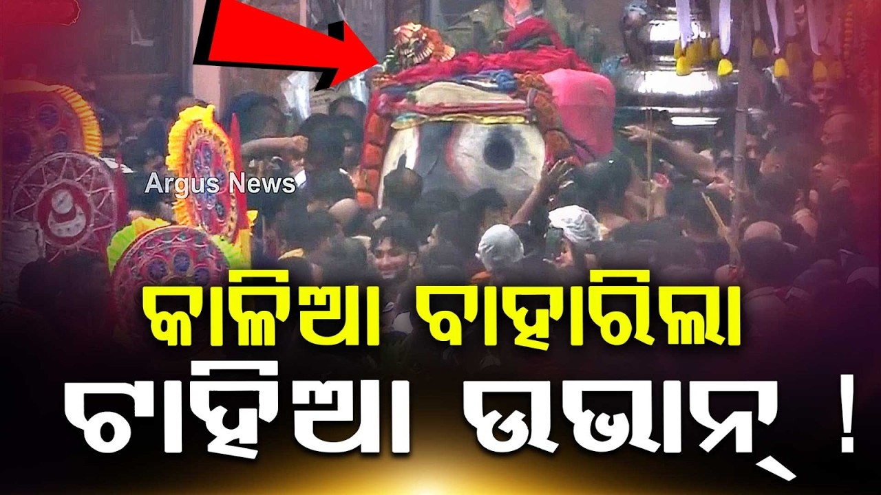 Lord Jagannath Grand Majestic Pahandi Bije To Nandighosa Chariot | Argus News | Puri | Odisha News