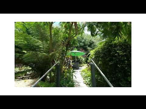 Video der Unterkunft
