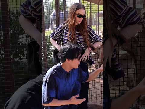 Orang Utan was definitely interested