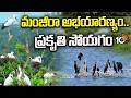 Hidden Gem of Telangana: ఆశ్చర్య పరిచే అందాలతో మంజీరా అభయారణ్యంలో ప్రకృతి సోయగం | 10TV News