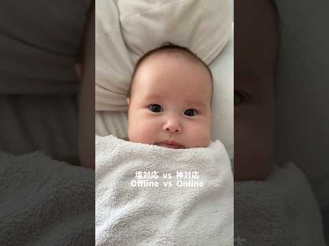 双子の温度差がおもしろい🤣　#双子 #赤ちゃん