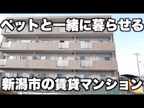 【新潟市の賃貸物件】ペットと一緒に住めるすごい物件を見学してきた！