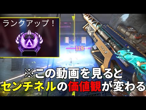 『全員センチネル2丁だけでマスター』達成！コメ欄が沸いた最強スナイパー連携まとめ | Apex Legends