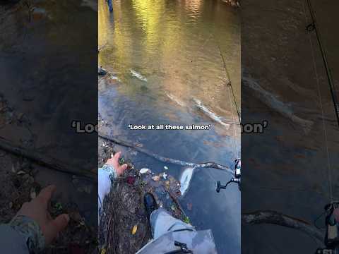 I saw something crazy while salmon <strong>fishing</strong>