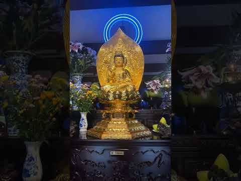 THIỀN ĐỊNH ĐỀU ĐẶN