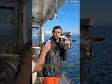 Rahasia Ikan Monkfish 🐟  Penghuni Laut Dalam dengan Trik Licik Memangsa! #shorts #triklicikmemangsa