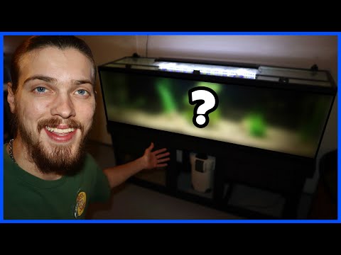 Setting Up My 125 Gallon AQUARIUM in the NEW FISH  In this video, Myles & I move my 125 gallon aquarium over to the new fish room! Thanks for watching,