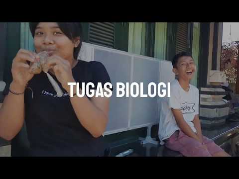 TUGAS SEKOLAH LAGI DONGGG 😭