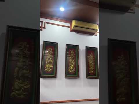 Giải Pháp Cho Tường Nhà Ẩm Mốc Của Bạn #nhadep #wallpaper #noithat #homedecor #pvcvanda #tuongnhua