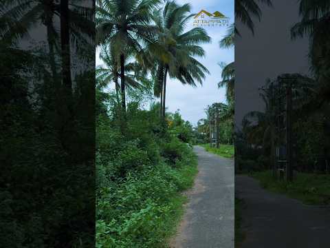 10.5 acre #landforsale #land#palakkad#properties #agriculture#tourism #trendingshorts#resort#hills