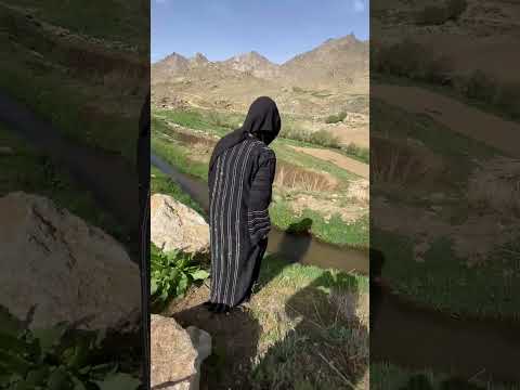 Shaista Shaiasta Khabari  #Shaista #Khabario