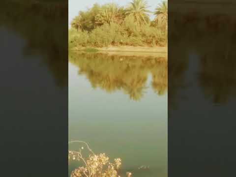 #انضم_عندي شط في واسط قضاء الحي كلش حلوو 🙄🤲